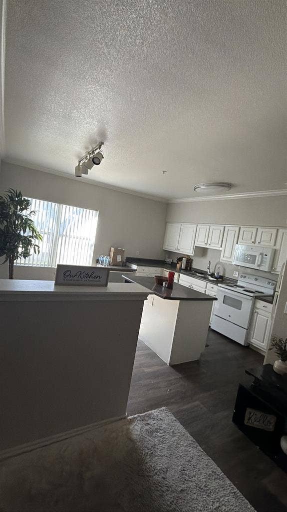 Looking for a roommate