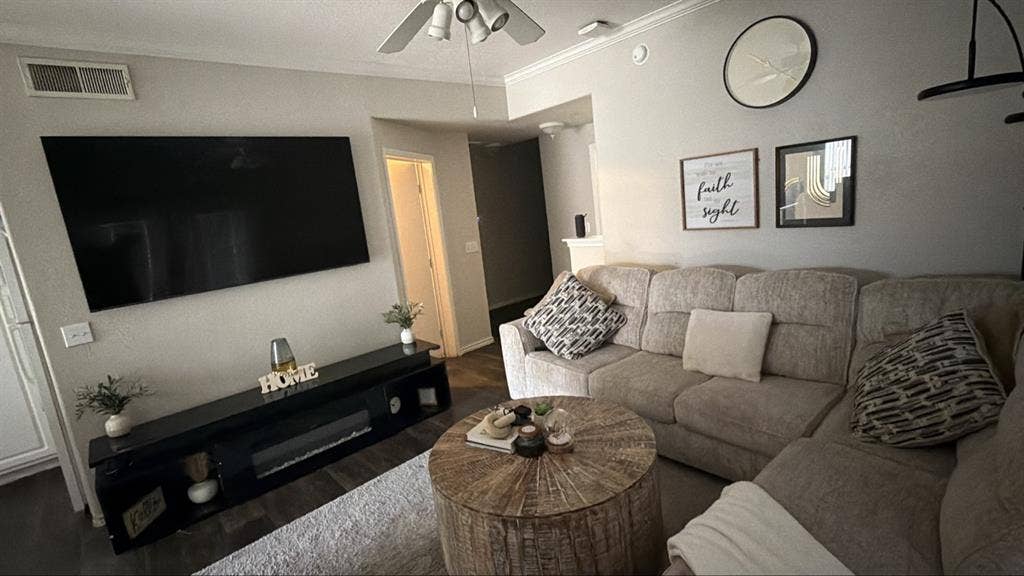 Looking for a roommate
