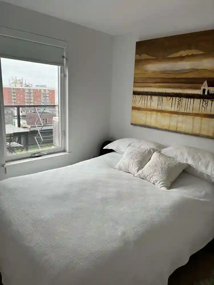Furnished sublet Sept 21-May 21