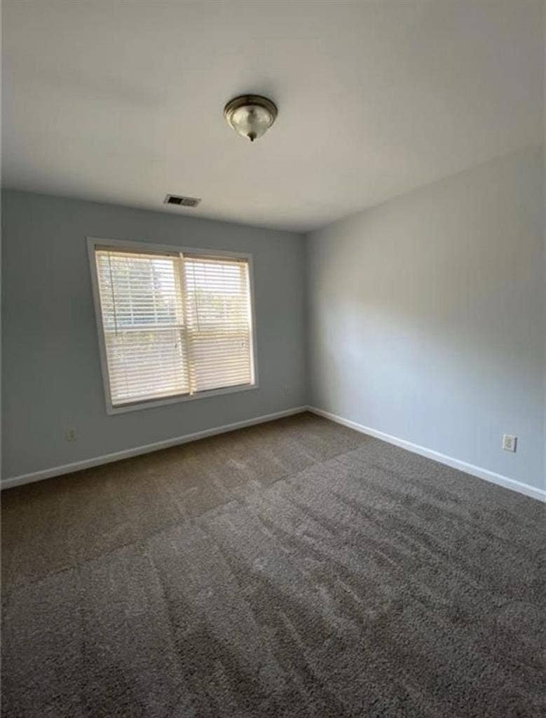 Roommate Needed