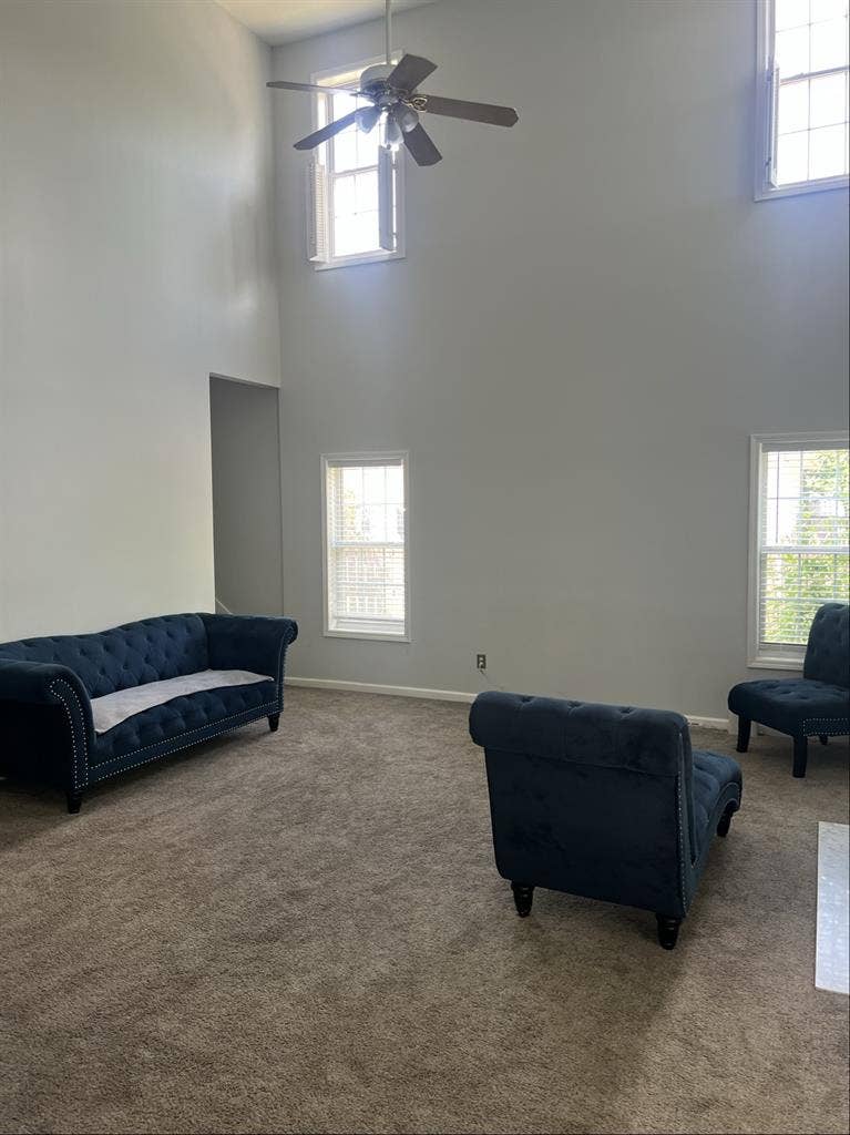 Roommate Needed