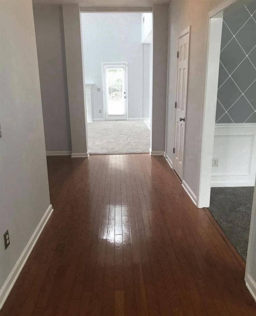 Roommate Needed