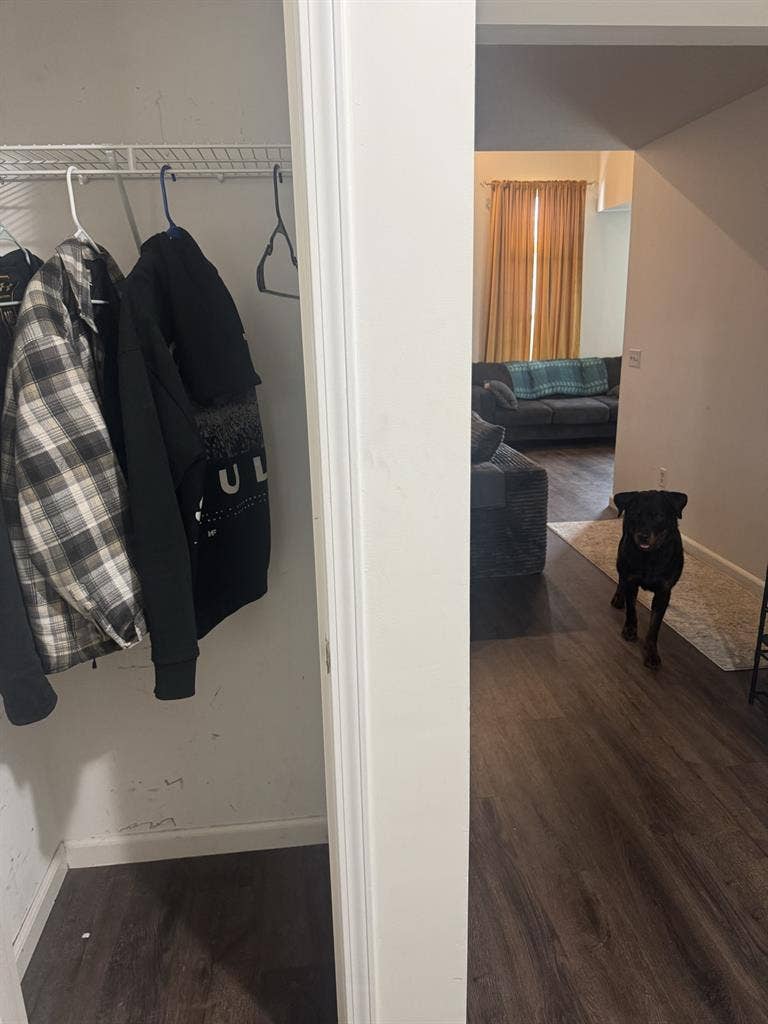 Housemate-partially furnished