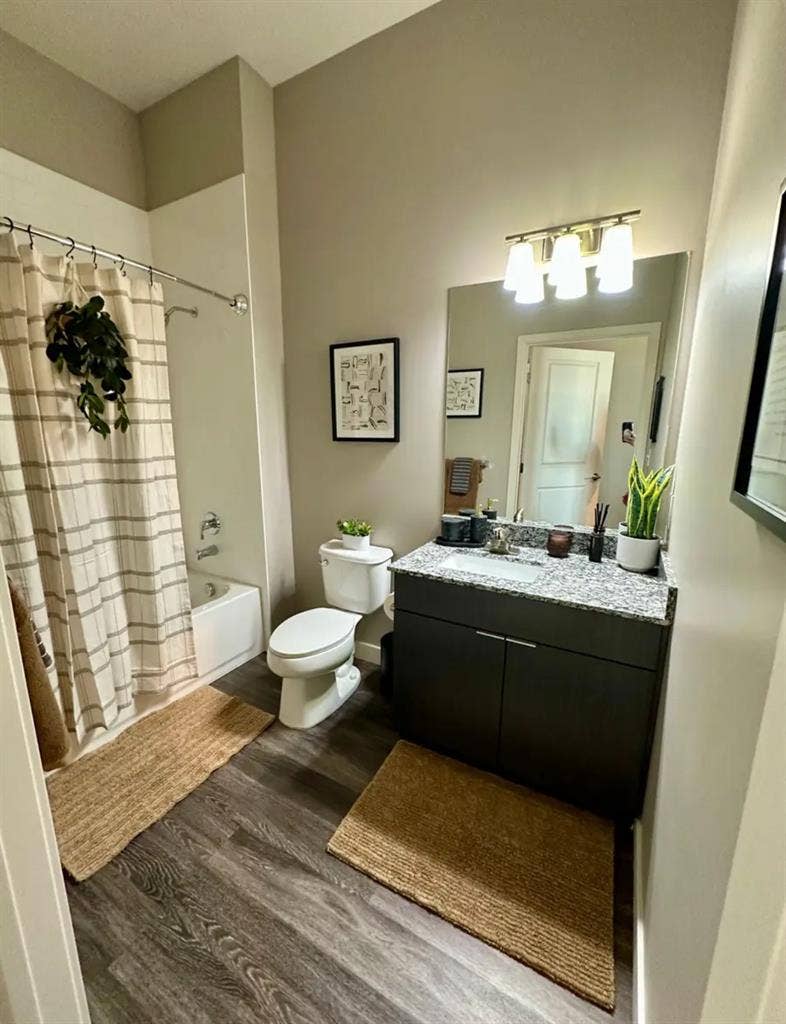 1 Bed/ 1 Bath in Shared Apartment