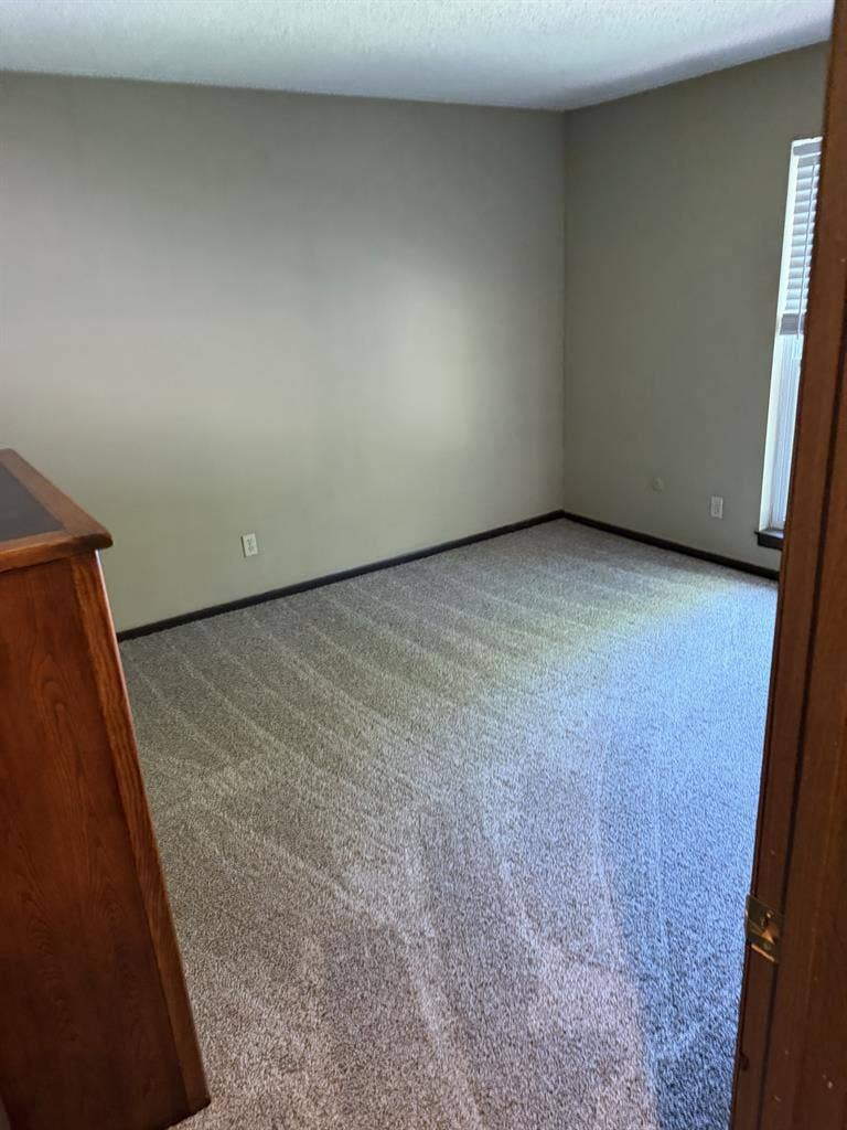 I need a roommate