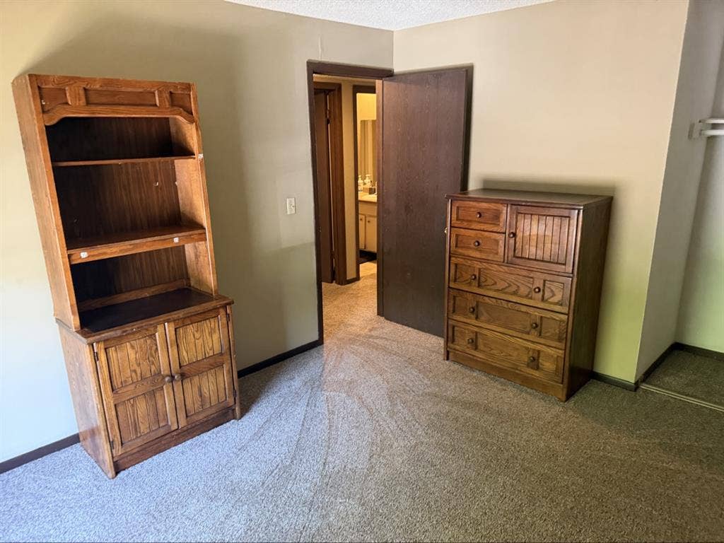 I need a roommate