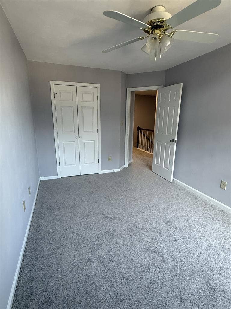 Moving & need a roommate soon