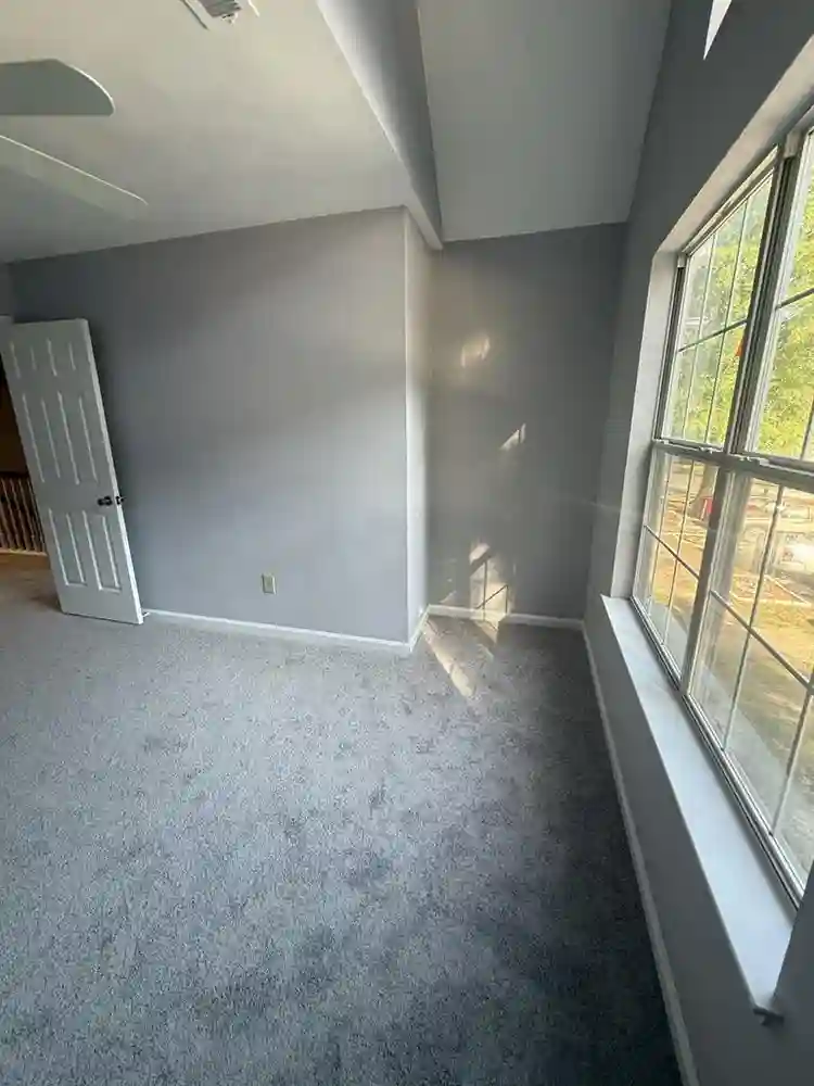 Moving & need a roommate soon