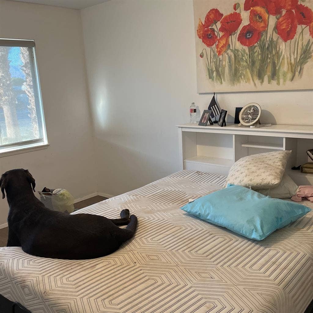 Shared three bedroom house in PD