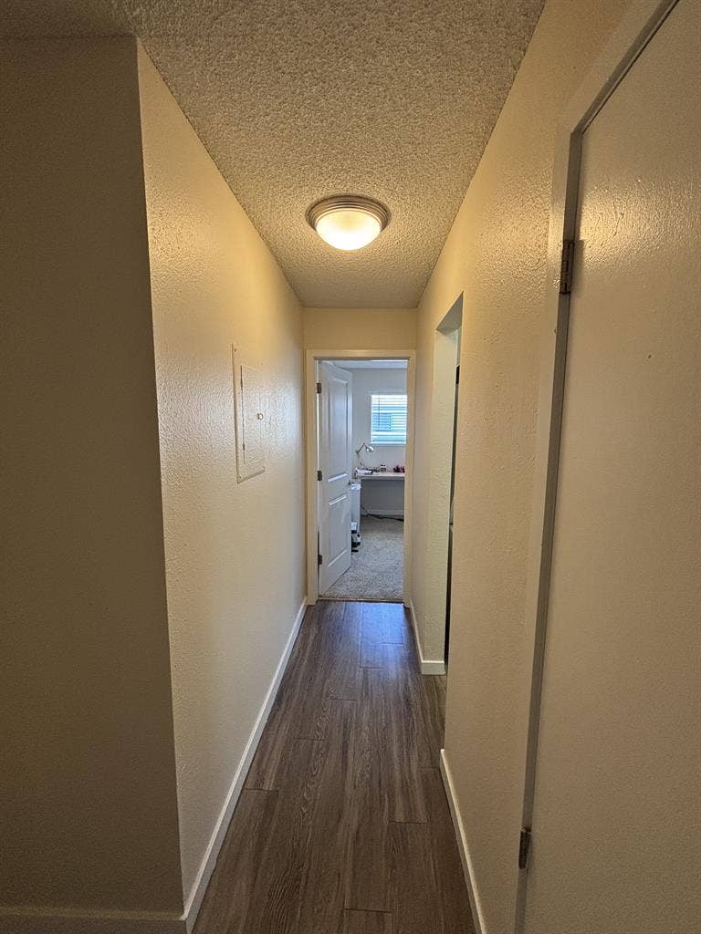 carpeted with large closet