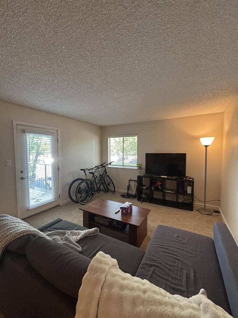carpeted with large closet