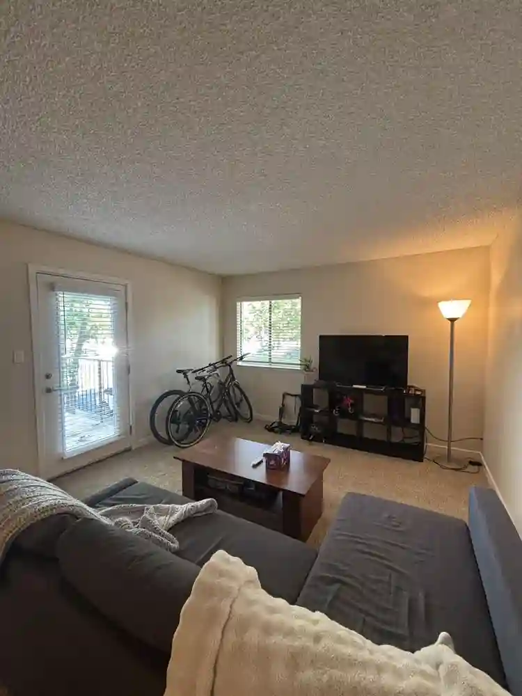 carpeted with large closet