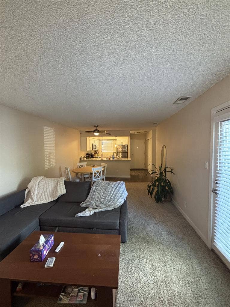 carpeted with large closet