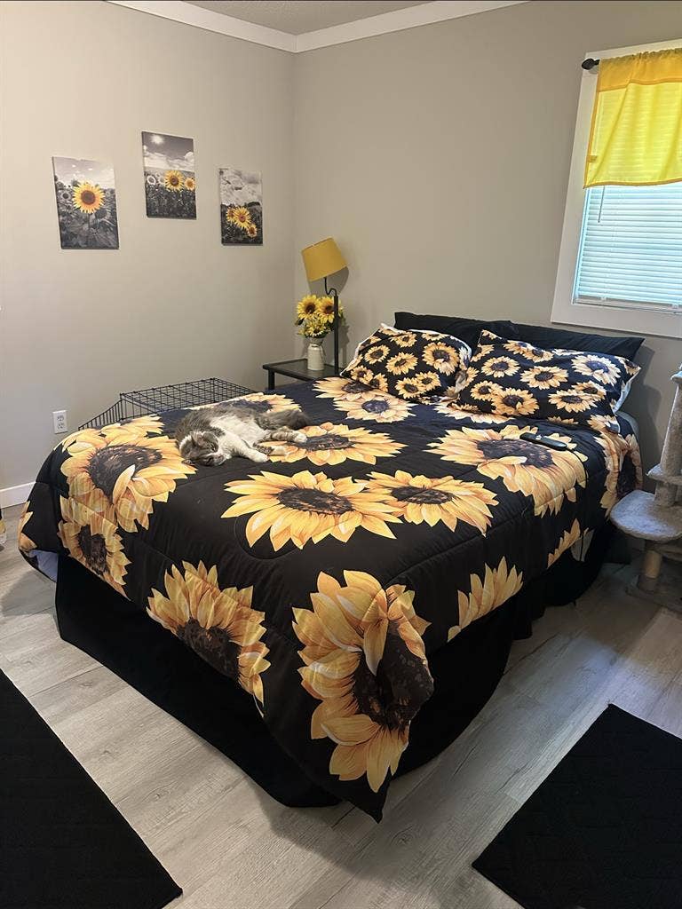 Room & private bathroom $775