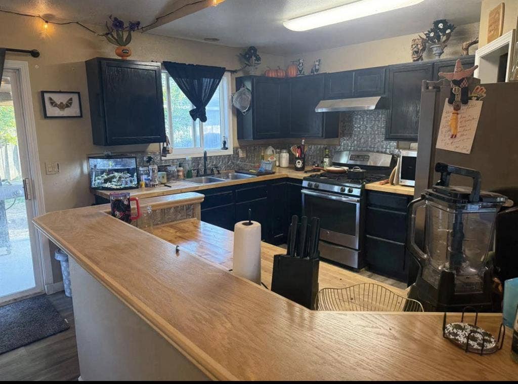 Super chill household -West Boise