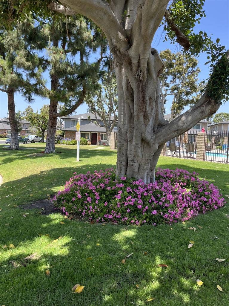 2 bed Condo