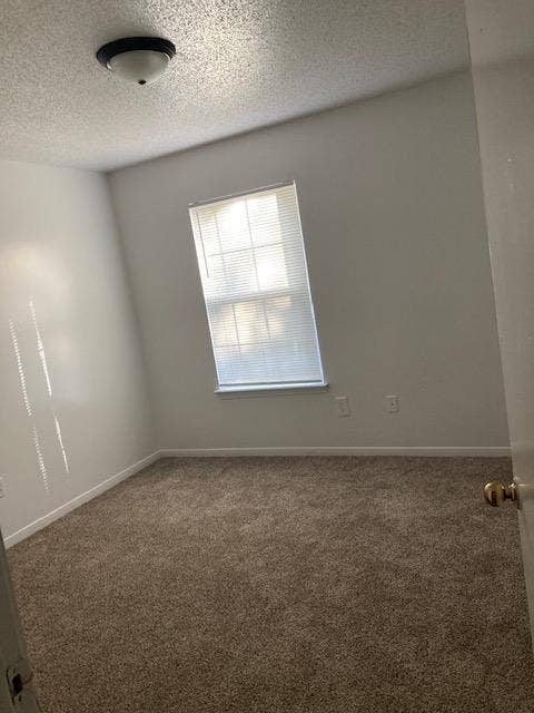  Bedroom w/ private bath available 