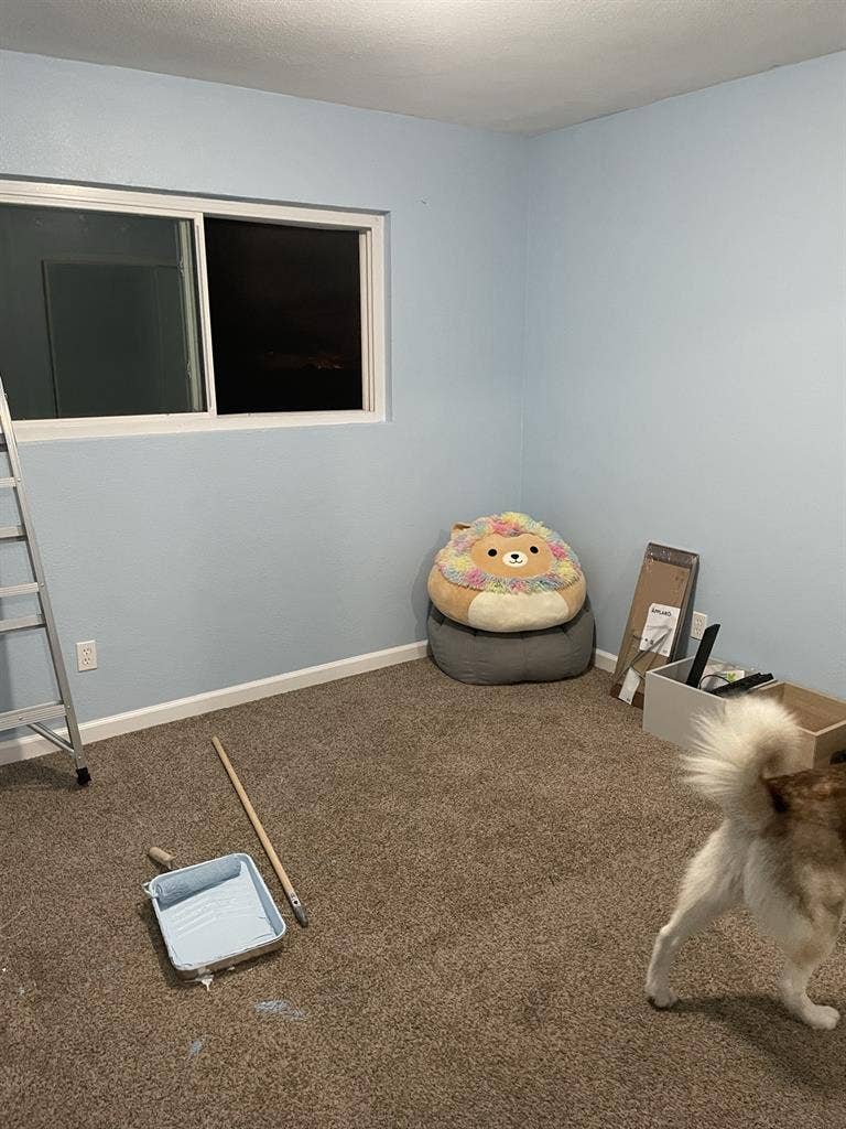 Room for rent in Spring Valley!