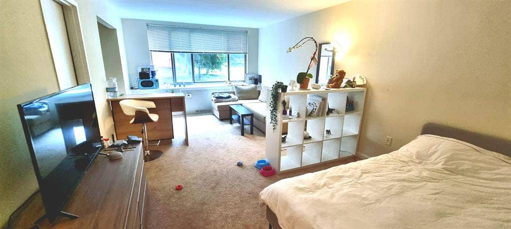 Large studio in Arlington, Rosslyn