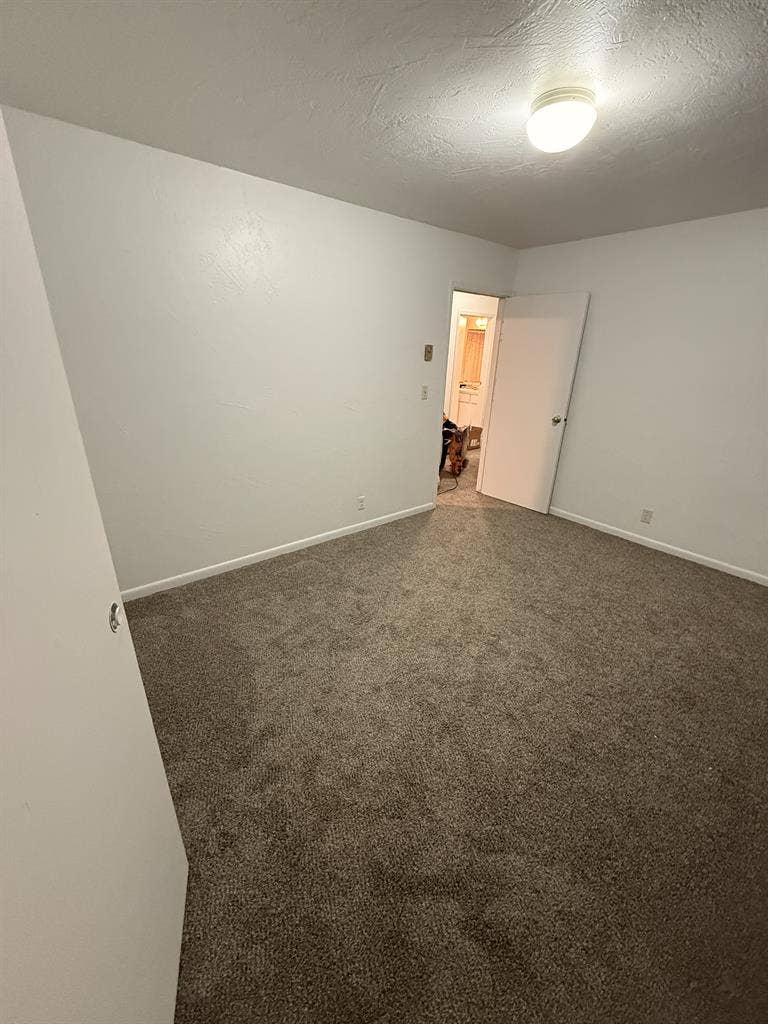 Looking for the right roomie