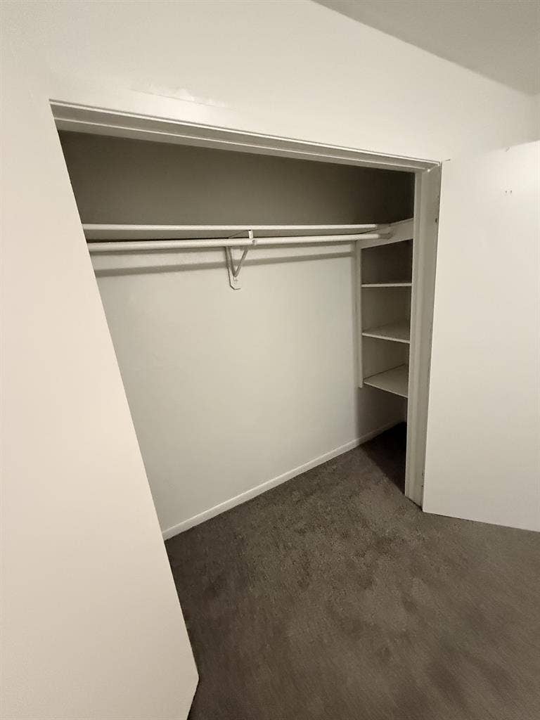 Looking for the right roomie