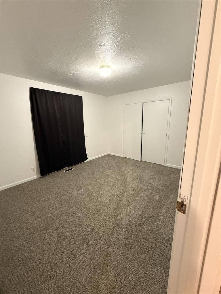 Looking for the right roomie