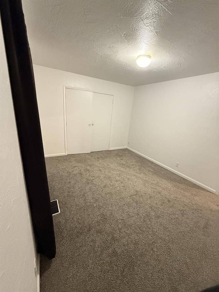 Looking for the right roomie