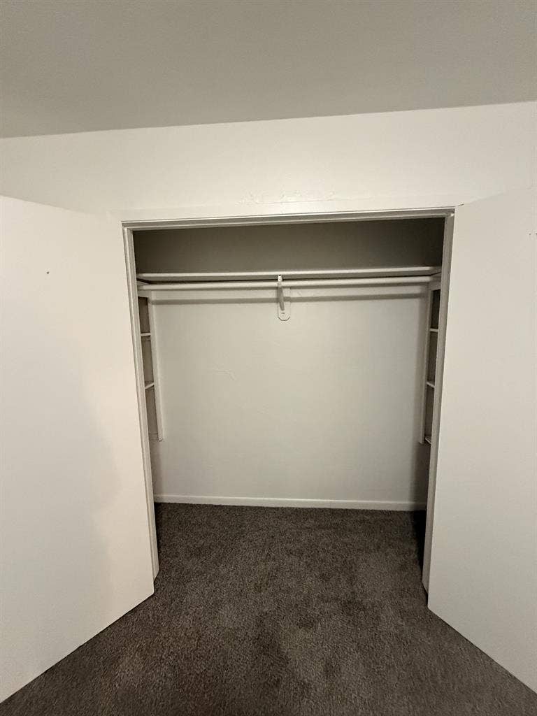 Looking for the right roomie