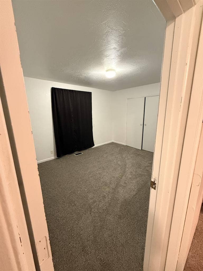 Looking for the right roomie