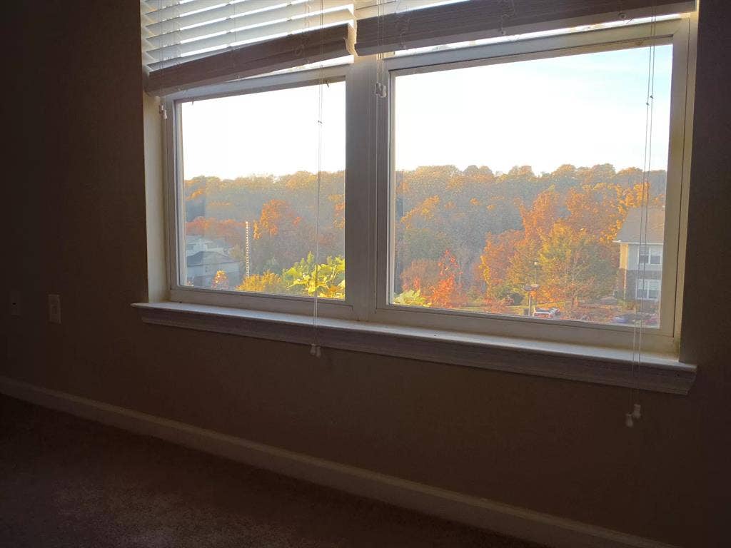 2 Rooms in 3BR/3BA Condo Near UTK