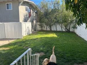 Room in exchange for help with home