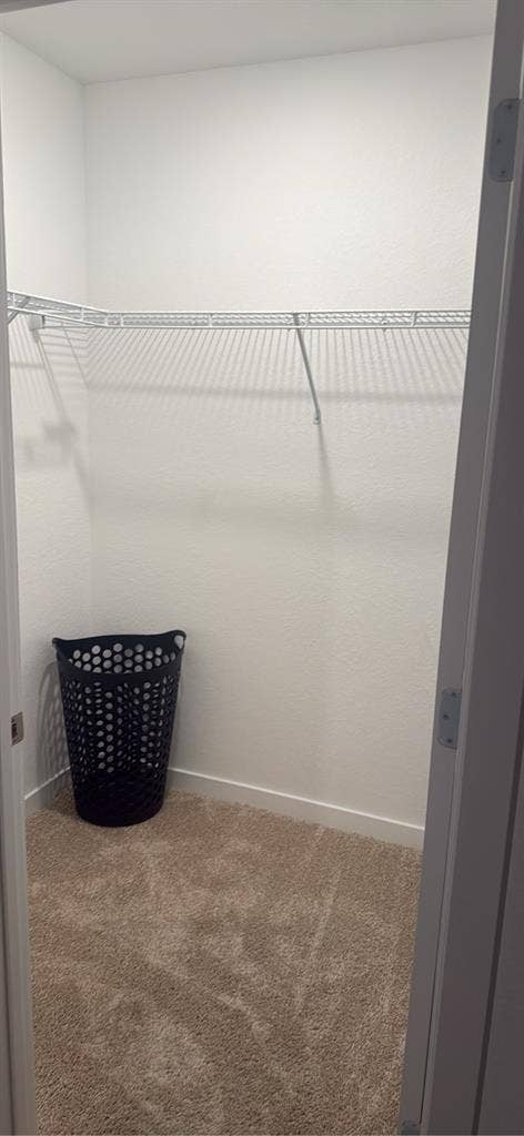 Room available in new townhouse.