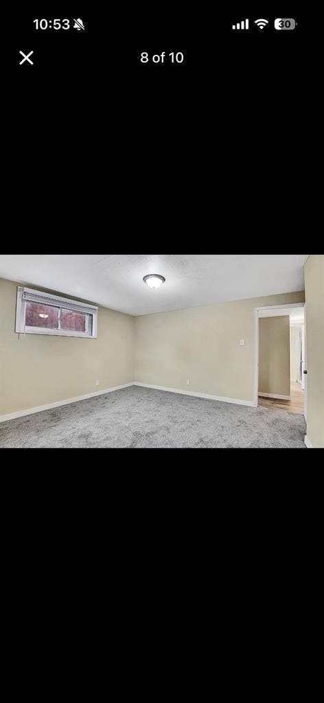 Lakewood room for rent!