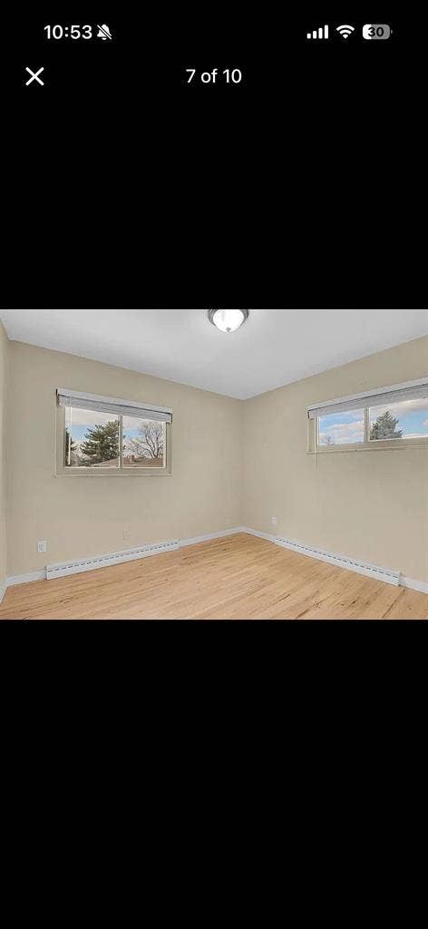 Lakewood room for rent!