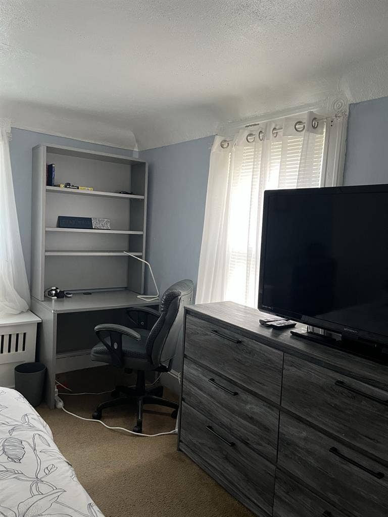 Clean queen size furnished room