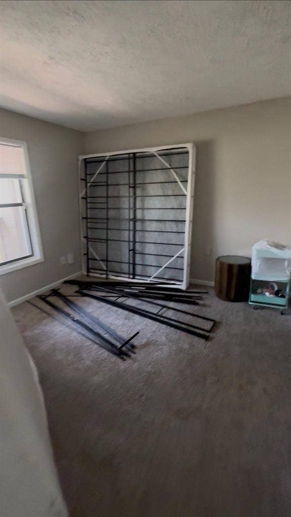 Entire Apartment for Rent