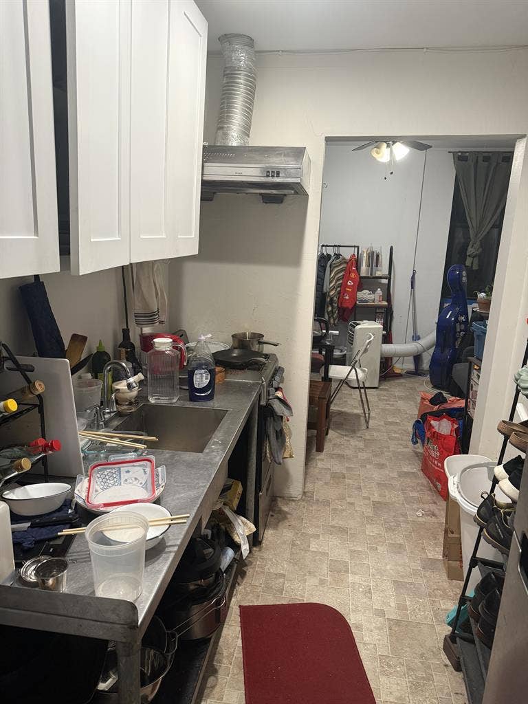 Looking For Roommate starting July