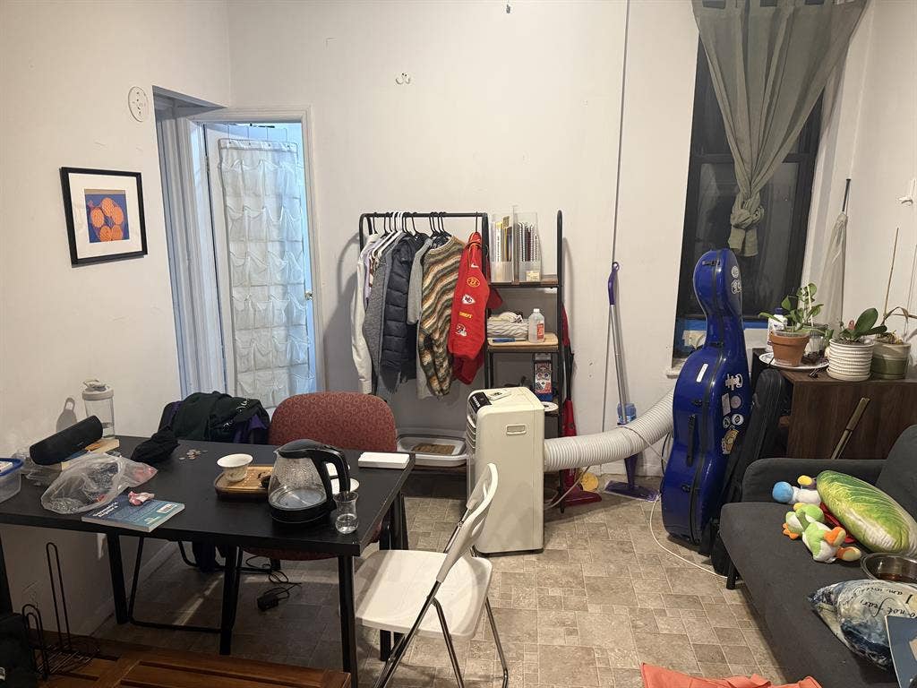 Looking For Roommate starting July