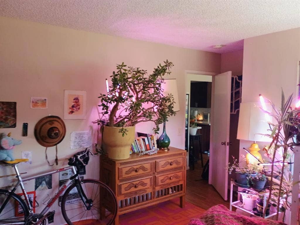 Large room, amazing location