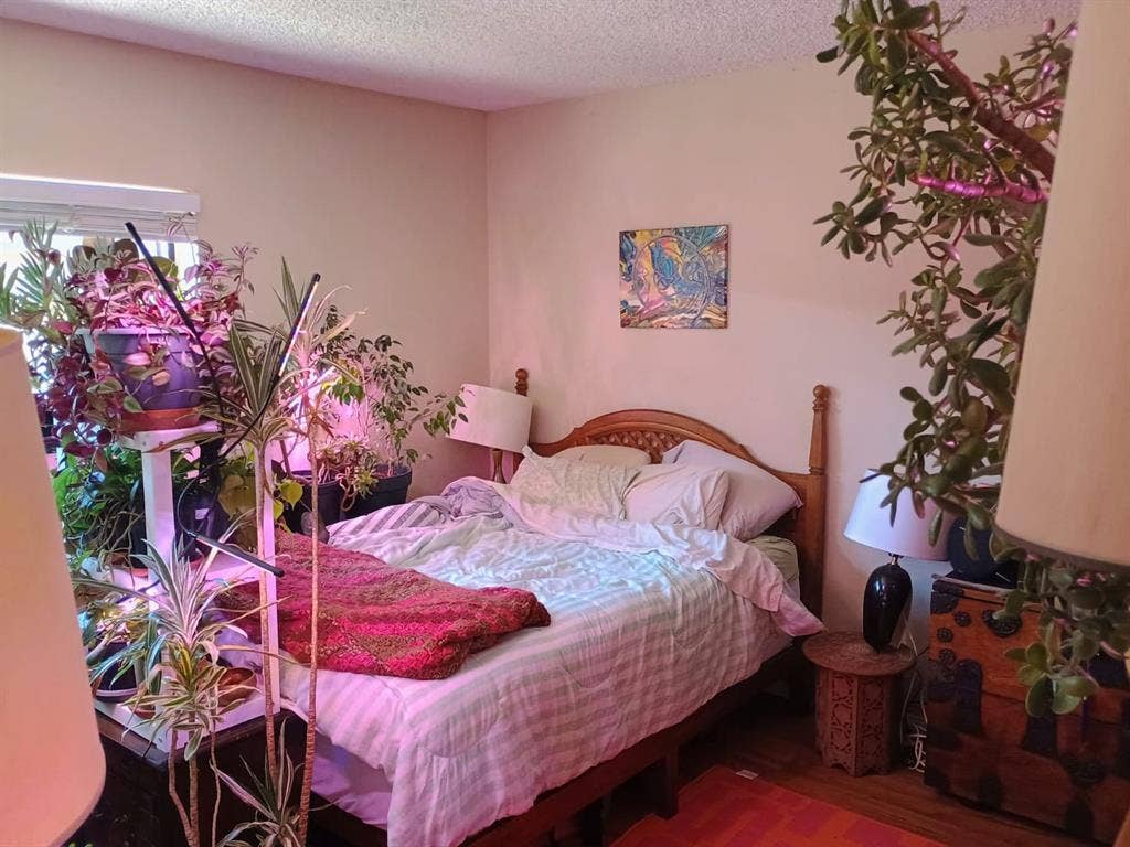 Large room, amazing location