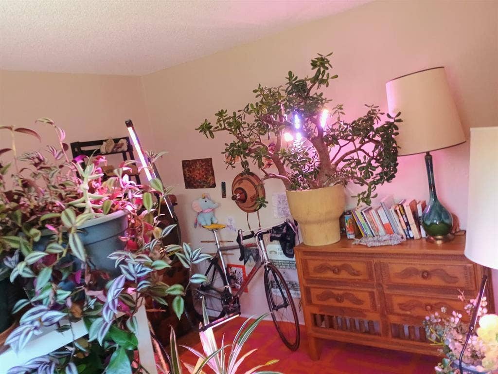 Large room, amazing location