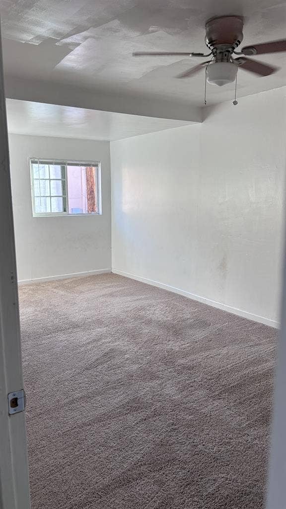 Looking for a Roomie at the Beach