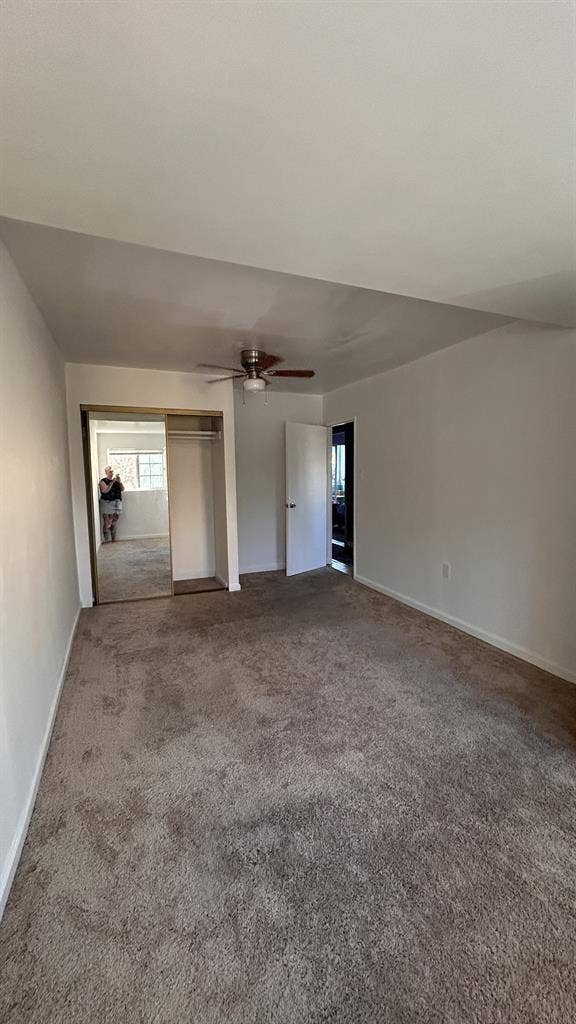 Looking for a Roomie at the Beach