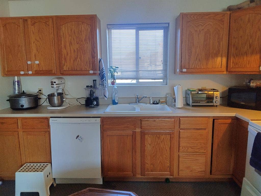 Roomate Needed ASAP