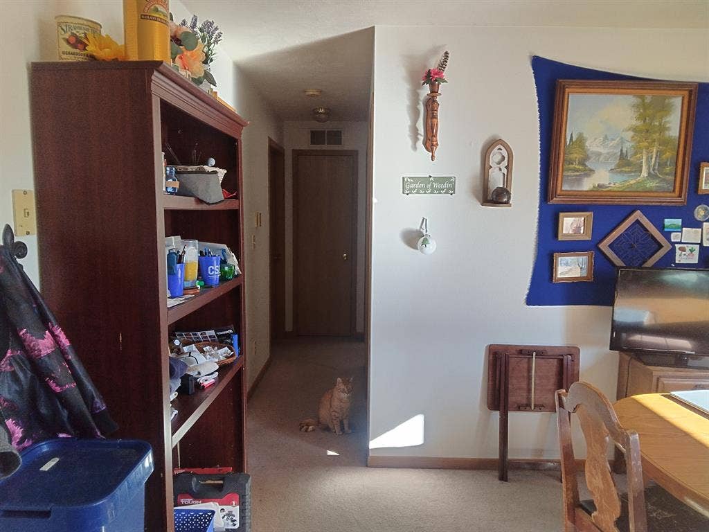 Roomate Needed ASAP