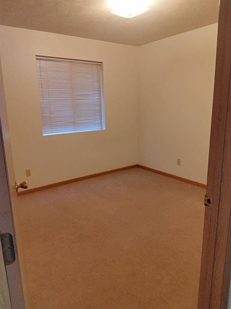 Roomate Needed ASAP