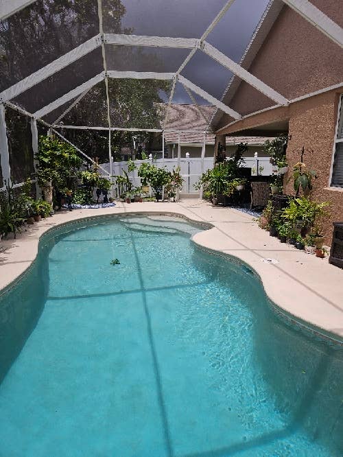 Roommate Wanted Pool Home
