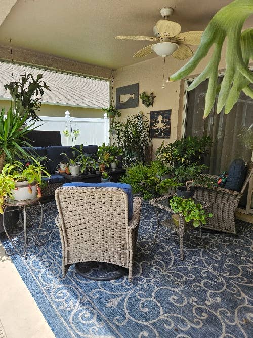 Roommate Wanted Pool Home