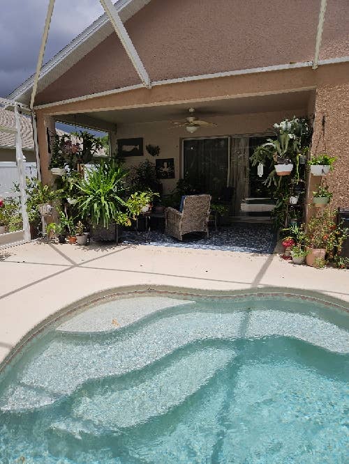 Roommate Wanted Pool Home