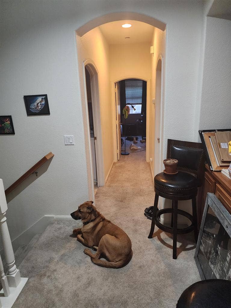 Room for rent in Mission Valley